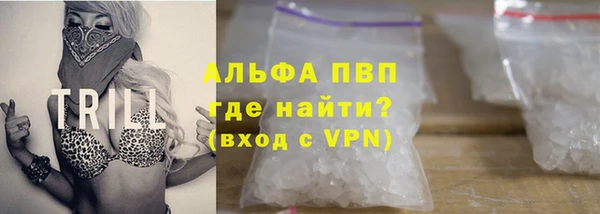 гидропоника Пересвет