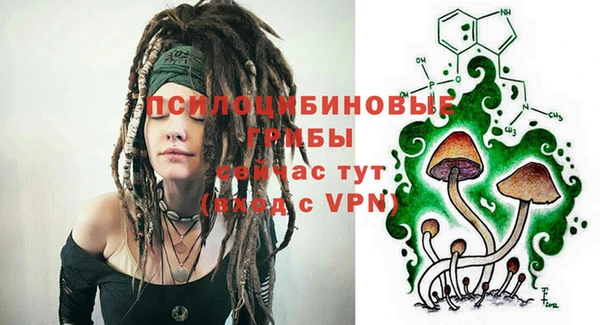 круглые Переславль-Залесский