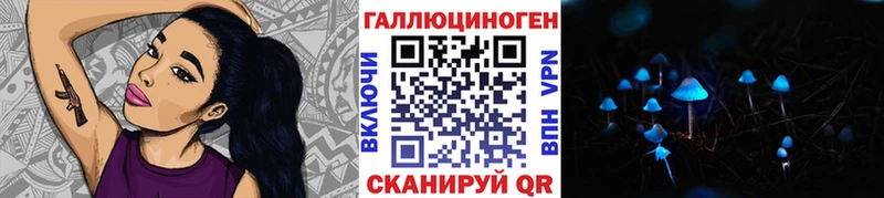 Галлюциногенные грибы Psilocybine cubensis  продажа наркотиков  Бахчисарай 