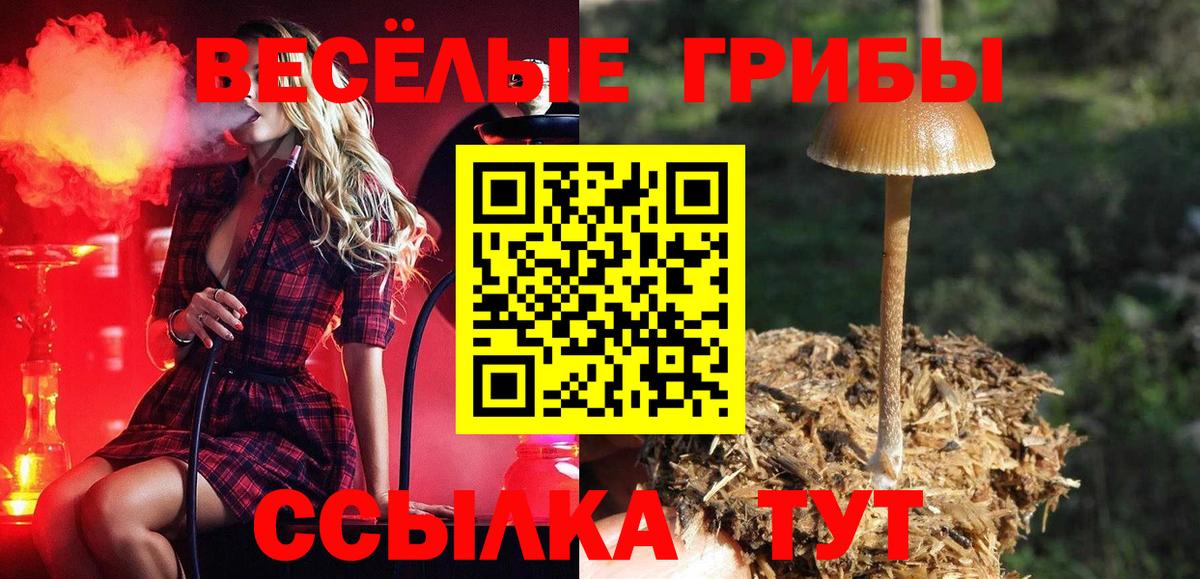 Бахчисарай  Галлюциногенные грибы мухоморы  Вход с VPN 