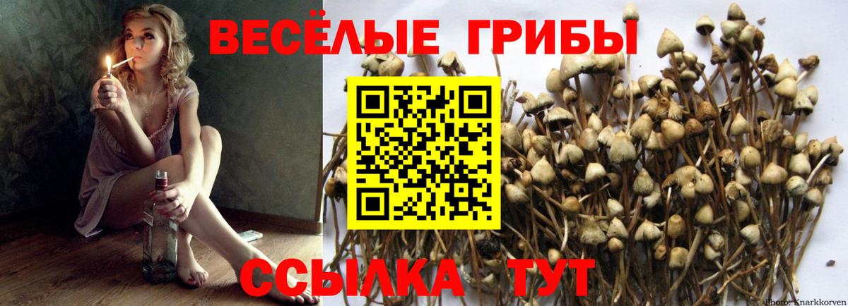 Галлюциногенные грибы MAGIC MUSHROOMS Бахчисарай